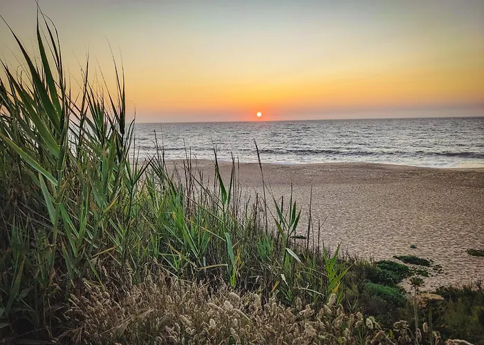 公寓 Casa Luma 莱里亚维埃拉